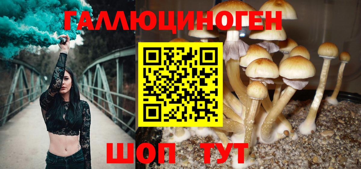 Псилоцибиновые грибы мухоморы  Псилоцибиновые грибы ЛСД  Москва  Вход с VPN 